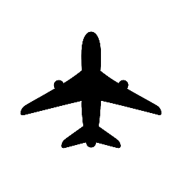   fly italic . it   